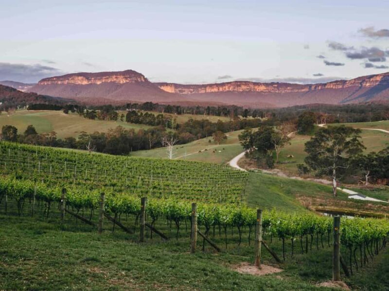 Blue Mountains: Megalong Valley Wine Tasting & Lunch - Key Points