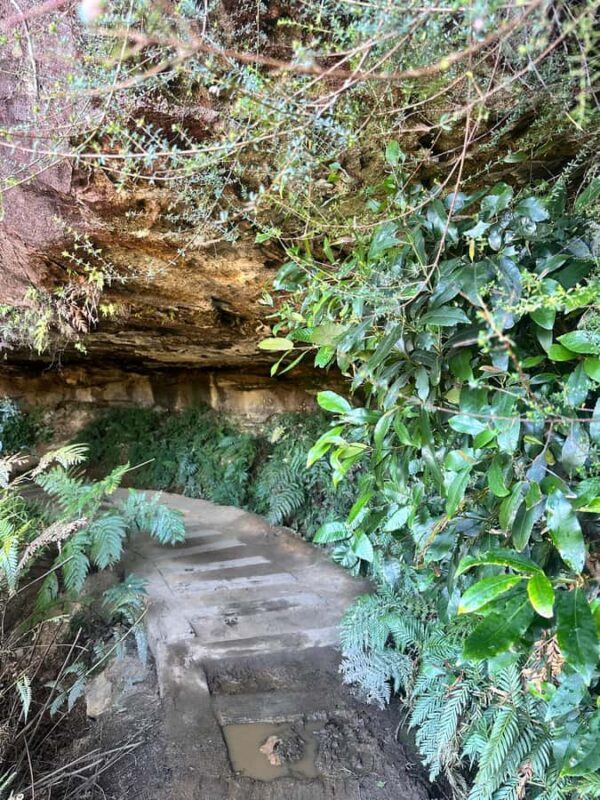 Blue Mountains: Overcliff-Undercliff Guided Hike - Key Points
