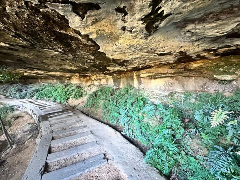 Blue Mountains: Overcliff-Undercliff Guided Hike - Why This Hike Stands Out in the Blue Mountains