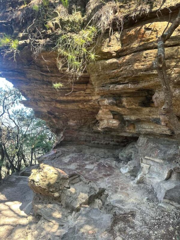 Blue Mountains: Overcliff-Undercliff Guided Hike - Transportation and Logistics