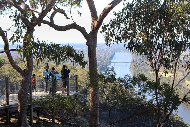 Blue Mountains Private Charter - How to Get the Most Out of This Tour