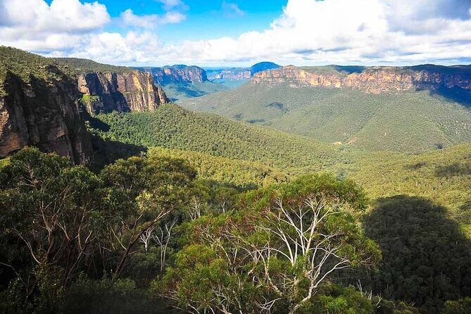 Blue Mountains Private Hiking Tour from Sydney - Practical Details and Tips