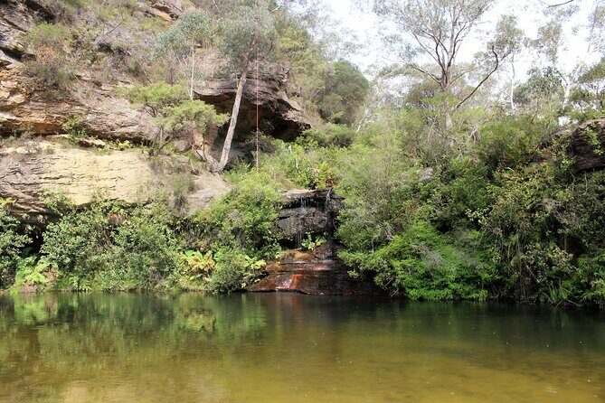 Blue Mountains Private Tour - An Overview of the Blue Mountains Private Tour