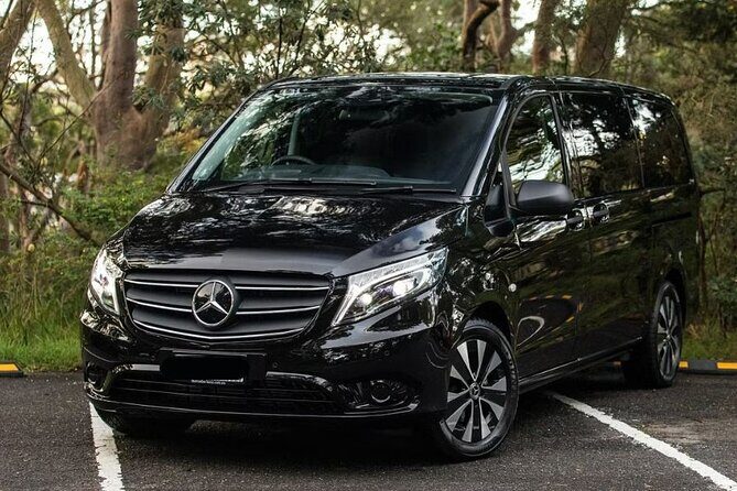 Blue Mountains Private Tour | Koala, Kangaroo, & Waterfalls Day - The Experience in Practice