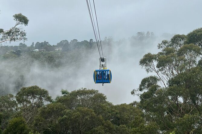 Blue Mountains Private Tour & Scenic World Included - Key Points