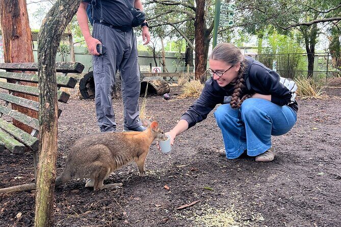 Blue Mountains Private Tour & Scenic World Included - Final Thoughts