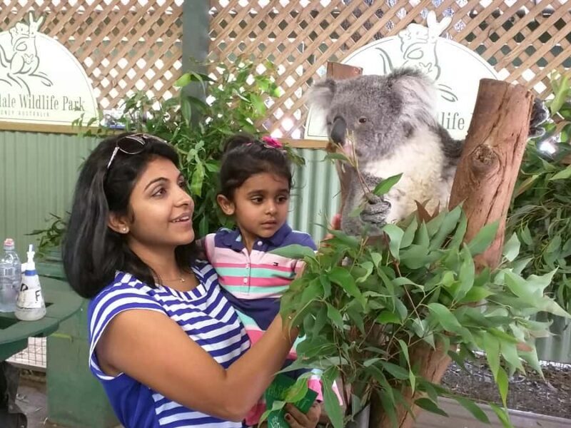 Blue Mountains private tour with Featherdale Wildlife Park - Deep Dive into the Itinerary