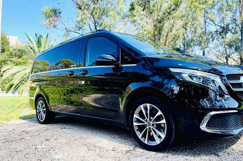 Blue Mountains: Private Tour with Wildlife and River Cruise - Why Some Travelers Might Be Disappointed