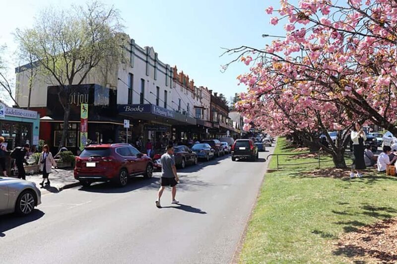 Blue Mountains: Private Tour with Wildlife and River Cruise - Transportation and Group Size