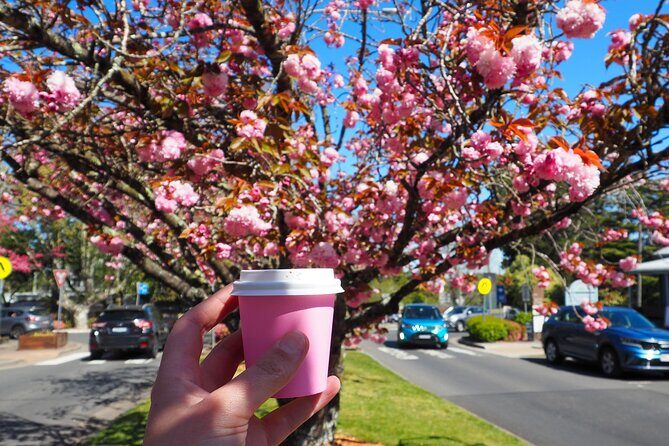 Blue Mountains Small Group Tour with Lunch, Zoo and Scenic World - Final Thoughts