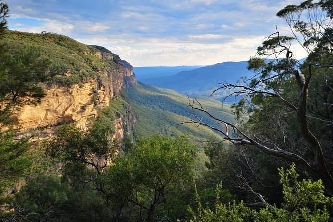 Blue Mountains Sunset Tour With Wildlife From Sydney - Tips for a Great Tour