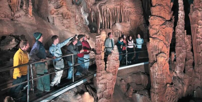 Blue Mountains Tour from Sydney - Full Day Private Tours - The Real Value of This Tour