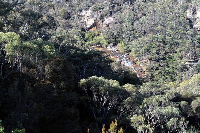 Blue Mountains Tour - Highlights - What You Can Expect from the Blue Mountains Highlights Tour