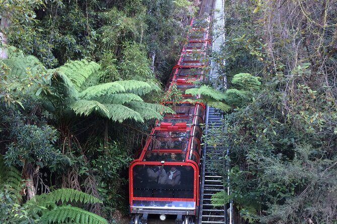 Blue Mountains Tour PRIVATE with Wildlife Park and River Cruise - The Bottom Line: Who Should Consider This Tour?