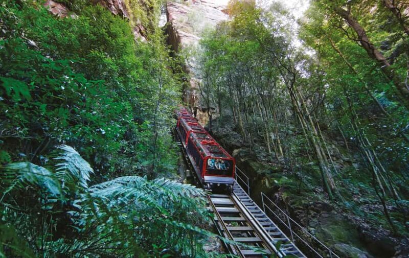 Blue Mountains Tour with Scenic World, Zoo&Bilingual Driver - Who Will Love This Tour?
