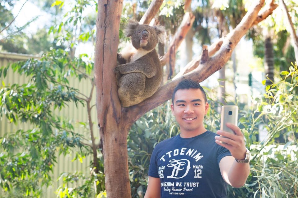 Blue Mountains: Wildlife Park & Bushwalks Day Tour - Frequently Asked Questions