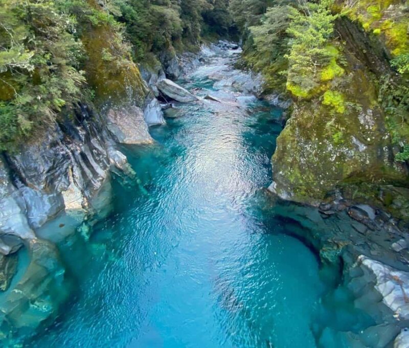 Blue Pools & Makarora Day Walk - Practical Considerations and Tips