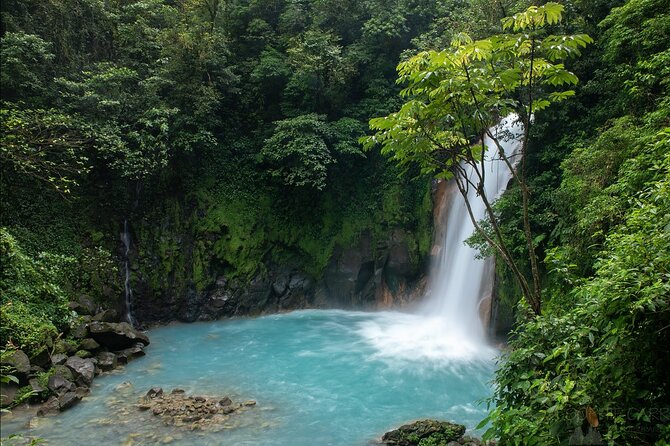 Blue River Waterfall and Rainforest Full Day Tour - Meeting and Pickup Details