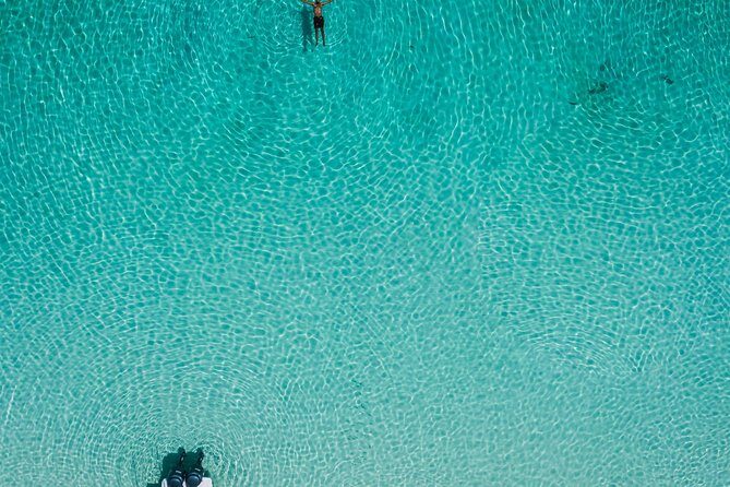 Bluefinn242 Swim with the Turtles in Nassau Bahamas - What to Expect from the Bluefinn242 Turtles Tour