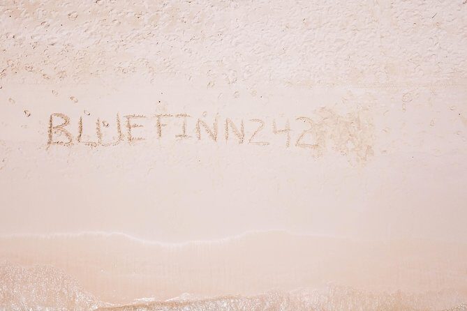 Bluefinn242 Swim with the Turtles in Nassau Bahamas - Who Will Love This Tour?