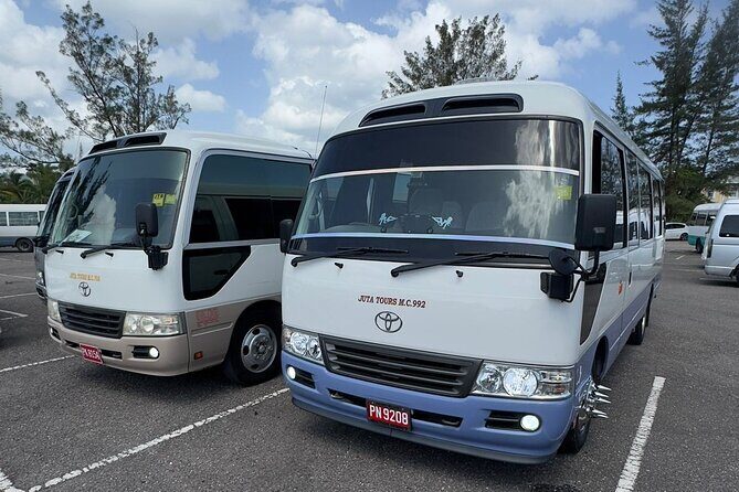 Bluehole, Horseback Riding and Souvenir Shopping from Montego Bay - Final Thoughts