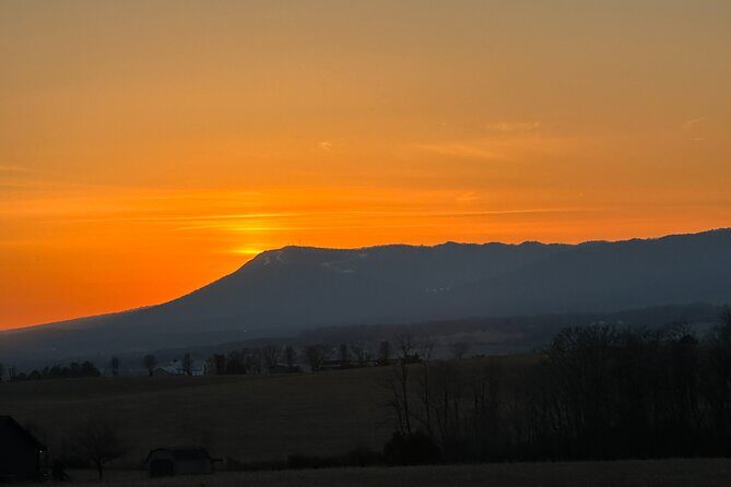 Boar's Head Resort Off Road Jeep Tour - The Reality Check: What the Reviews Say