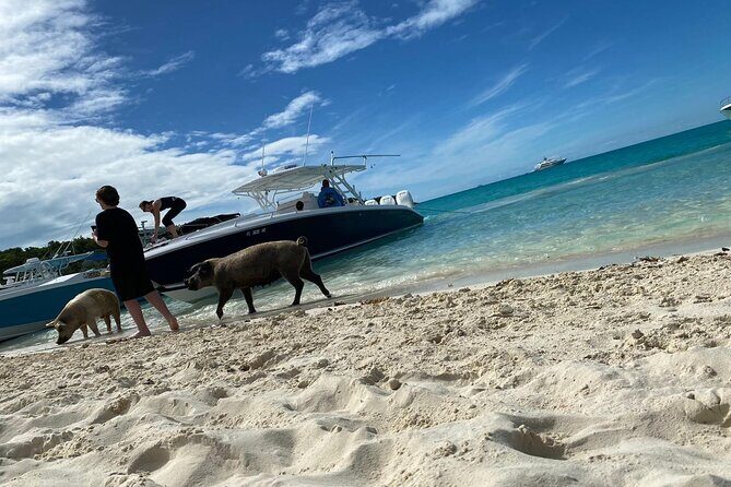 Boat Charters & Excursions - An In-Depth Look at the Bahamas Boat Charters & Excursions