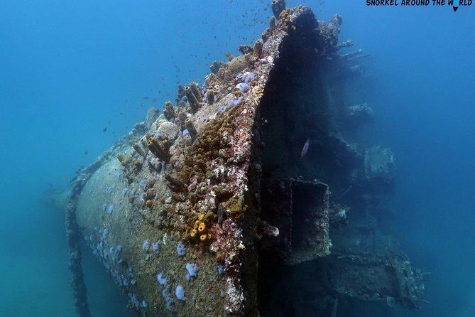Boat Dive Shipwreck/ Airplanes/ Reef /2 tanks - An In-Depth Look at the Nautilus Boat Dive Experience