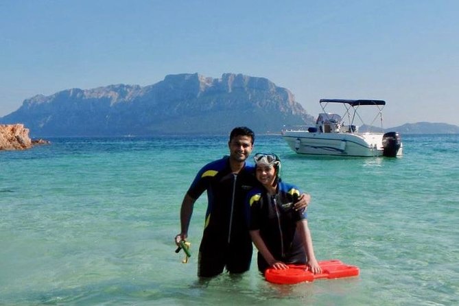 Boat Dolphins Safari and Snorkeling - What You Can Expect