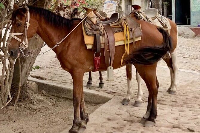 Boat Excursion and Hiking Walk in Quimixto - Who Should Consider This Tour?