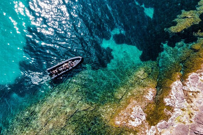 Boat Excursion - Cannes Esterel Coves Insight – 1H30 - Participation Guidelines