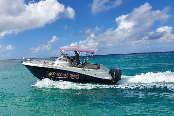 Boat rental To go by yourself CAP CAMARAT - Cost and Value Analysis