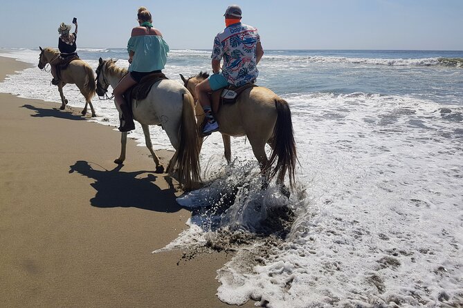 Boat Ride-Gentle Beach Beach Horseback Ride+Lunch-Crocs-Turtles - Scenic Beach Horseback Ride