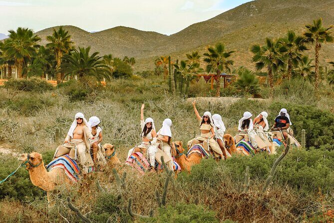 Boat Ride to the Arch and Beach Camel Ride in Cabo San Lucas Shared Tour - A Closer Look at the Experience