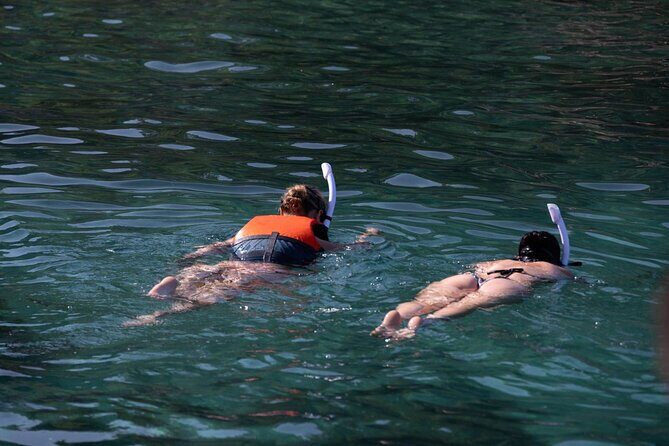 Boat rides through Zadar Archipelago - Pricing and Value