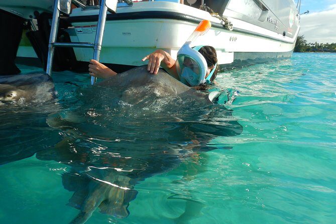 Boat tour 1/2 day Excursion in the lagoon of Moorea - Key Points