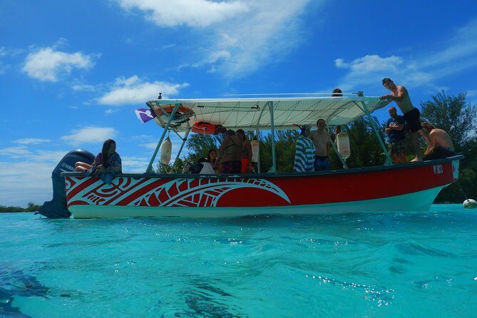 Boat tour 1/2 day Excursion in the lagoon of Moorea - The Real Value of This Tour
