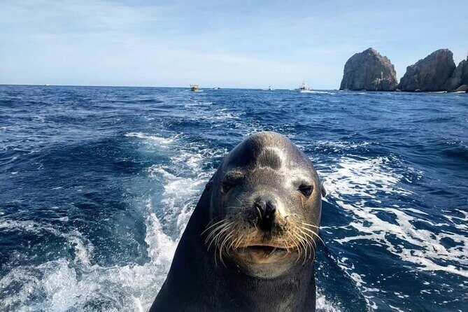 Boat Tour and Snorkel at Pelican Rock - Who Will Love This Tour?
