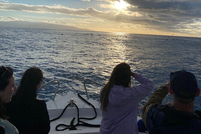 Boat Tour: Cave Tour on The North Coast - Tour Experience Highlights