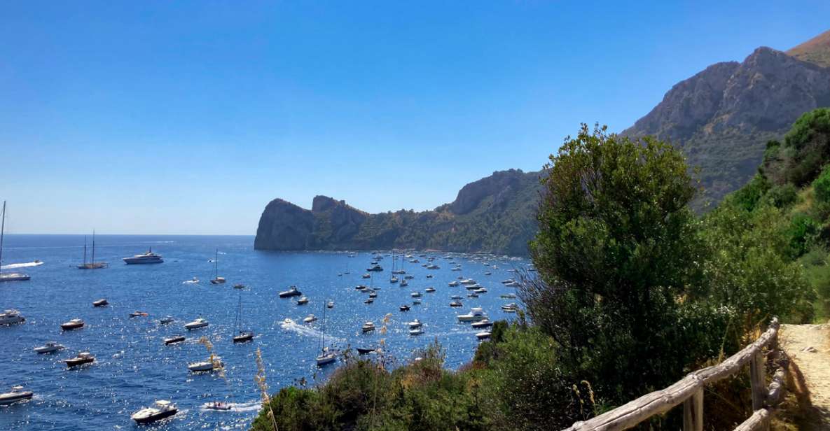 Boat Tour Dinner Experience in Nerano or Amalfi - Key Points