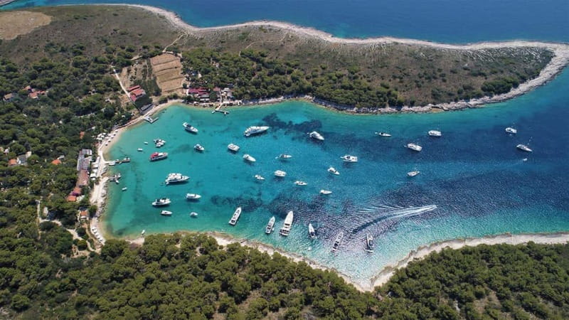 Boat Tour From Hvar: Blue Cave, Palmiana, and Vis Island - The Group Experience & Price Value