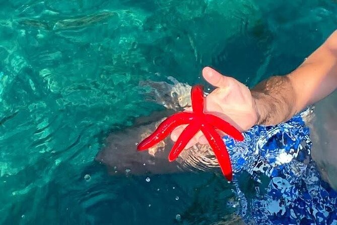 Boat Tour Giardini Naxos Taormina Isola Bella Blue Grotto - Exploring the Coast