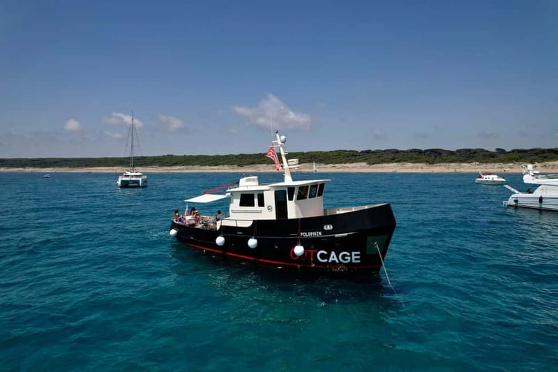 Boat tour Golfo Aranci: Tavolara and Molara Marine Protected Area - Key Points