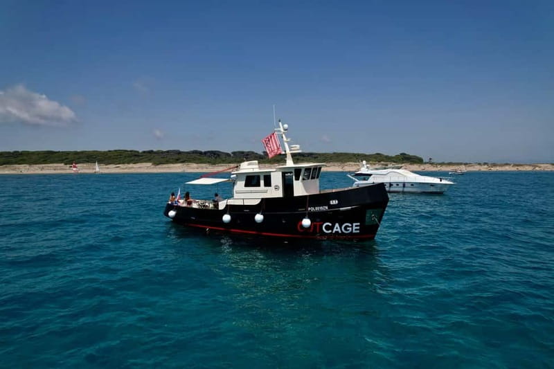 Boat tour Golfo Aranci: Tavolara and Molara Marine Protected Area - Practical Details: What to Know Before You Book