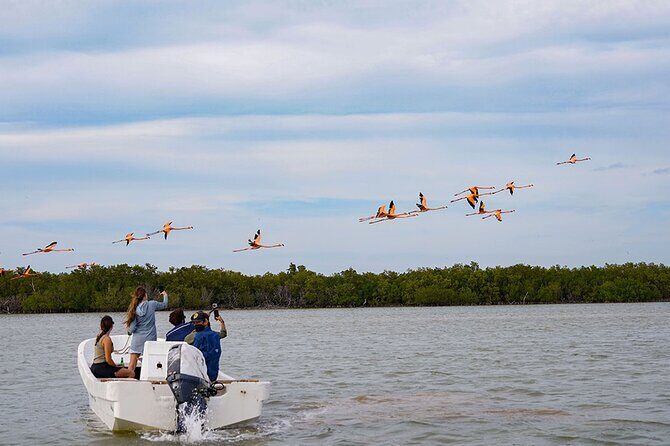 Boat tour in Río Lagartos Natural Reserve, with Food - Starting Point and Arrival