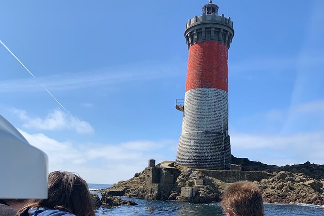 Boat Tour in the Marina Park - Overview of Experiences