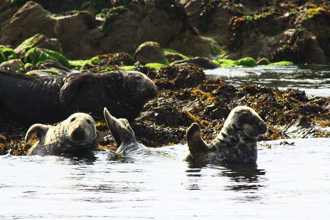 Boat Tour in the Marina Park - Guided Historical Insights