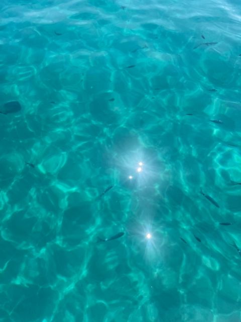 Boat Tour La Sella Cagliari - Key Points