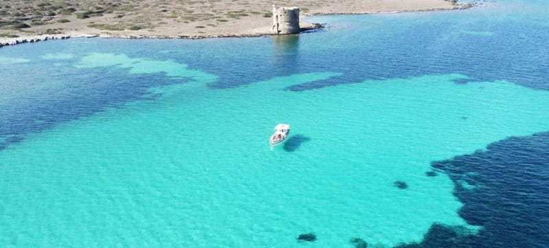 Boat tour of Asinara at sunset with aperitif on board - The Experience and Atmosphere