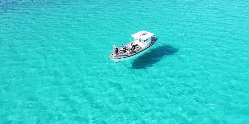 Boat tour of Asinara at sunset with aperitif on board - Who Should Consider This Tour?